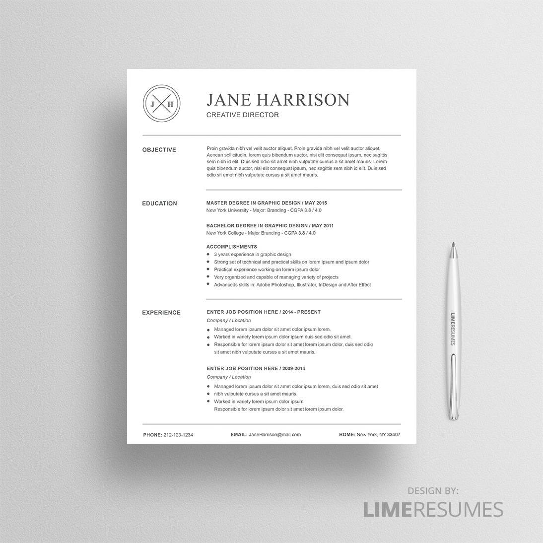 professional resume template    2 page cv